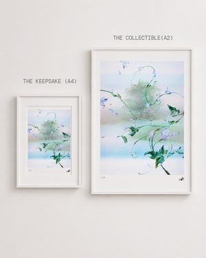 go slowly, sweetpea ~ print 5