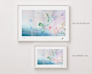 the long way home ~ print 4